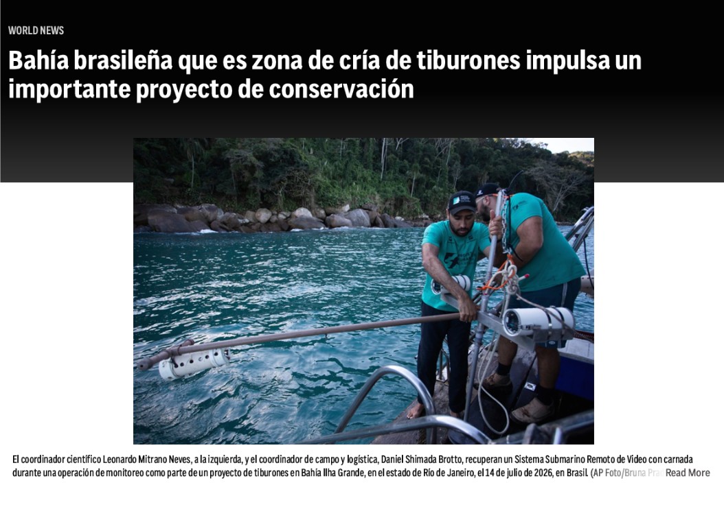 Bahía brasileña que es zona de cría de tiburones impulsa un importante proyecto de conservación