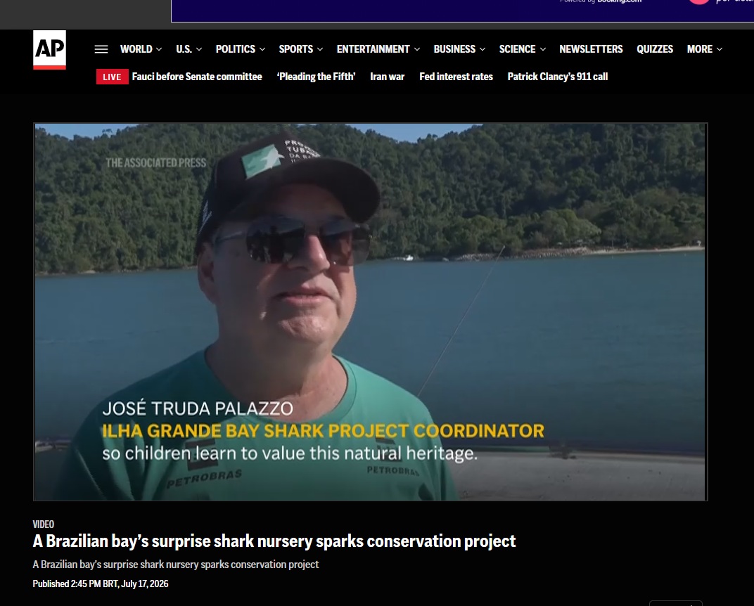 A Brazilian bay’s surprise shark nursery sparks conservation project