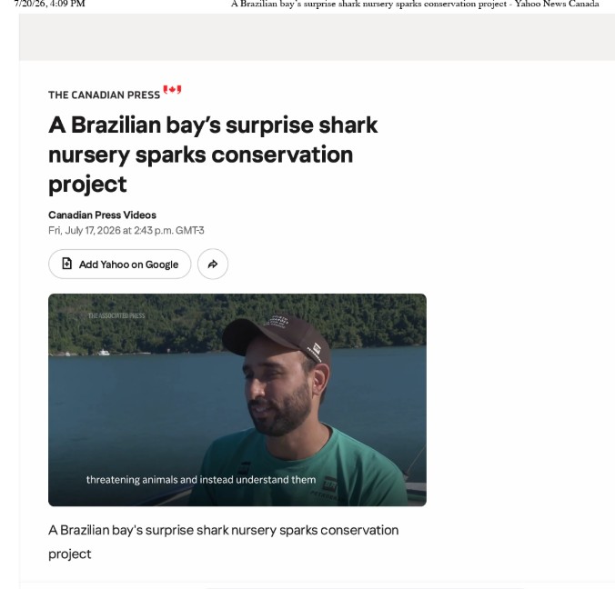 The Canadian Press: shark nursery sparks conservation project