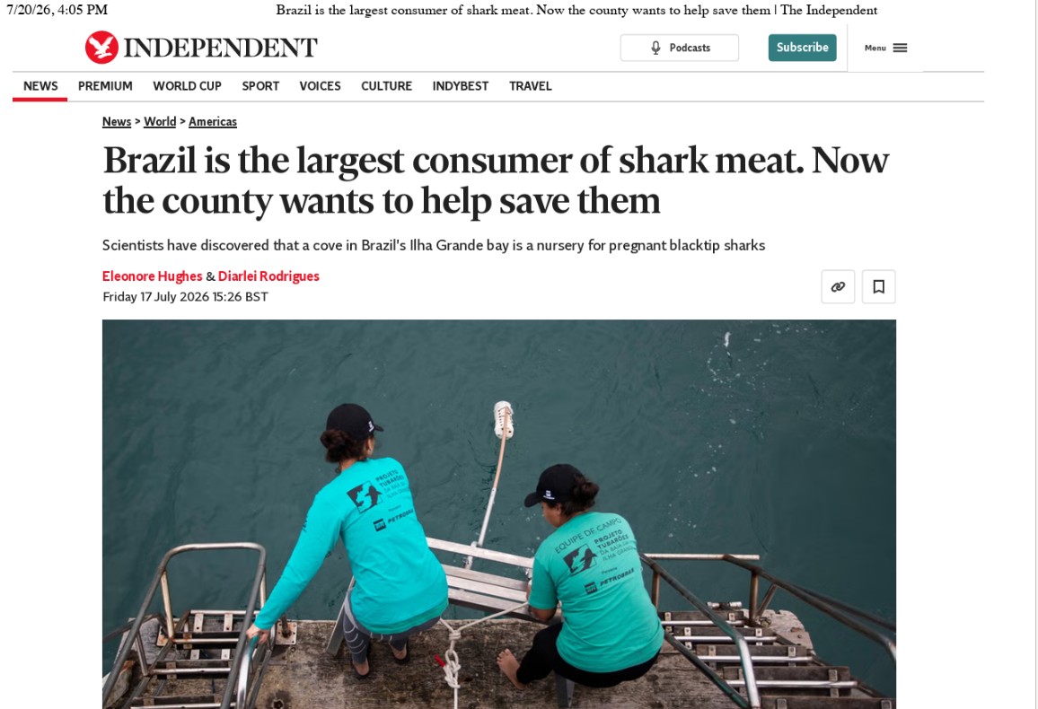 Brazil is the largest consumer of shark meat. Now the county wants to help save them