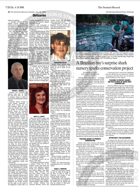 The Sentinel Record: a Brazilian bay’s surprise shark nursery