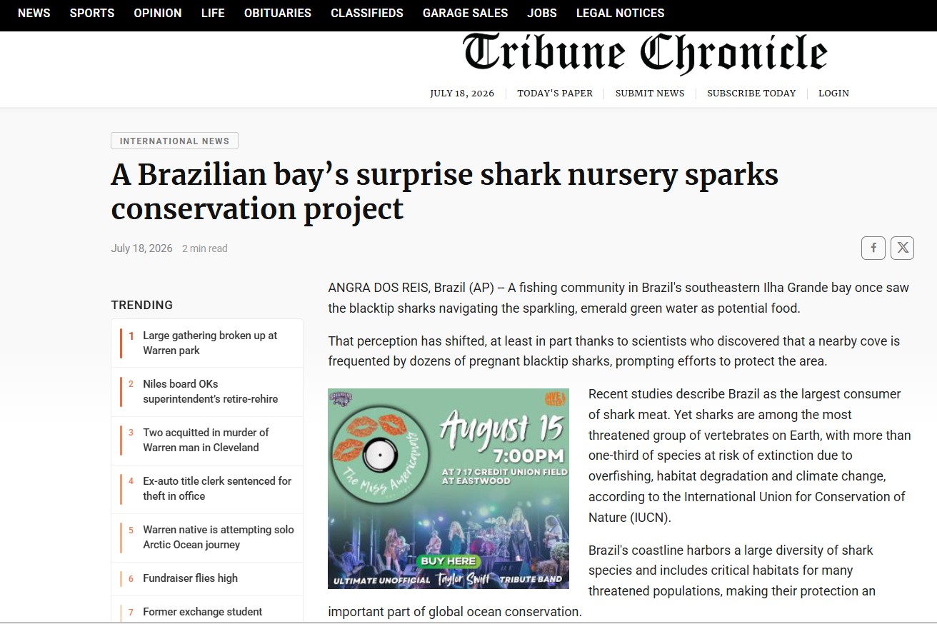 Tribune Chronicle: Brazilian bay’s surprise