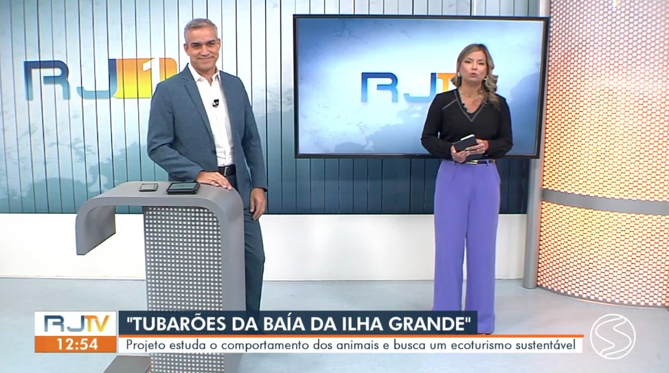 Projeto investiga o comportamento e a distribuição dos tubarões na região